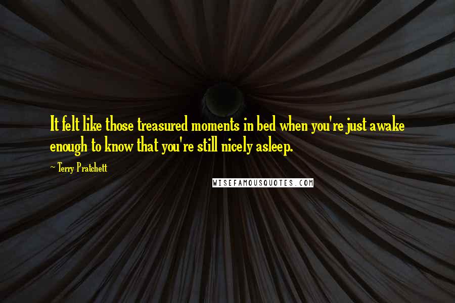 Terry Pratchett Quotes: It felt like those treasured moments in bed when you're just awake enough to know that you're still nicely asleep.