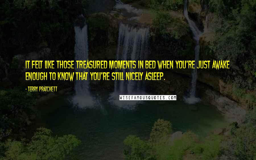 Terry Pratchett Quotes: It felt like those treasured moments in bed when you're just awake enough to know that you're still nicely asleep.