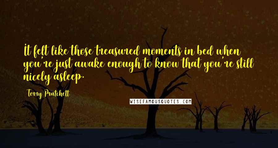 Terry Pratchett Quotes: It felt like those treasured moments in bed when you're just awake enough to know that you're still nicely asleep.