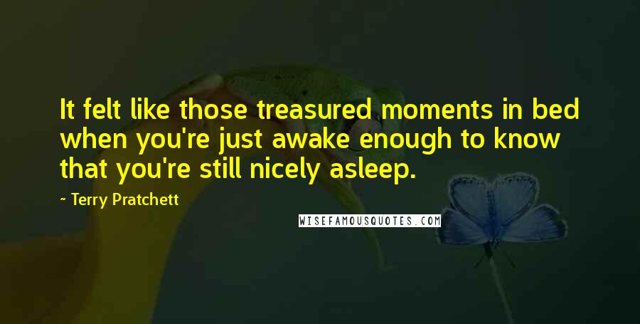 Terry Pratchett Quotes: It felt like those treasured moments in bed when you're just awake enough to know that you're still nicely asleep.