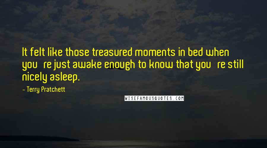 Terry Pratchett Quotes: It felt like those treasured moments in bed when you're just awake enough to know that you're still nicely asleep.