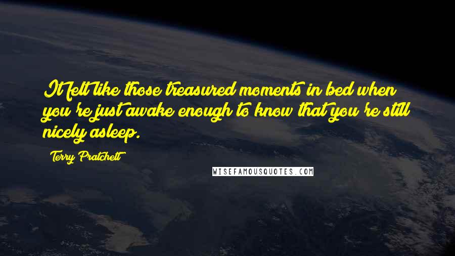 Terry Pratchett Quotes: It felt like those treasured moments in bed when you're just awake enough to know that you're still nicely asleep.