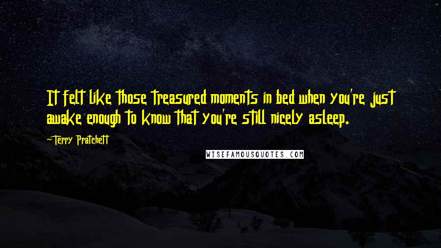 Terry Pratchett Quotes: It felt like those treasured moments in bed when you're just awake enough to know that you're still nicely asleep.