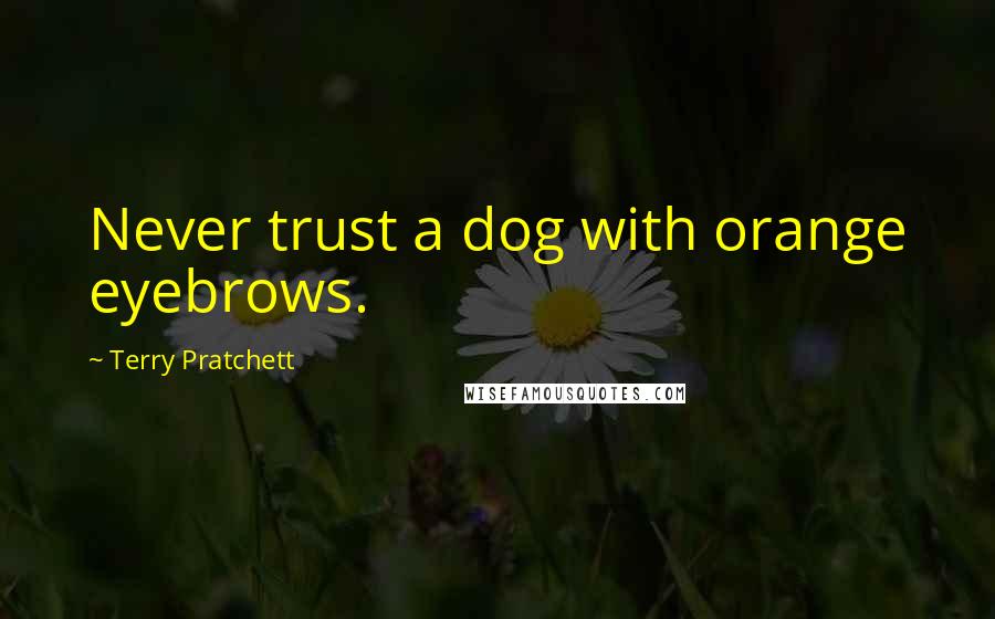Terry Pratchett Quotes: Never trust a dog with orange eyebrows.