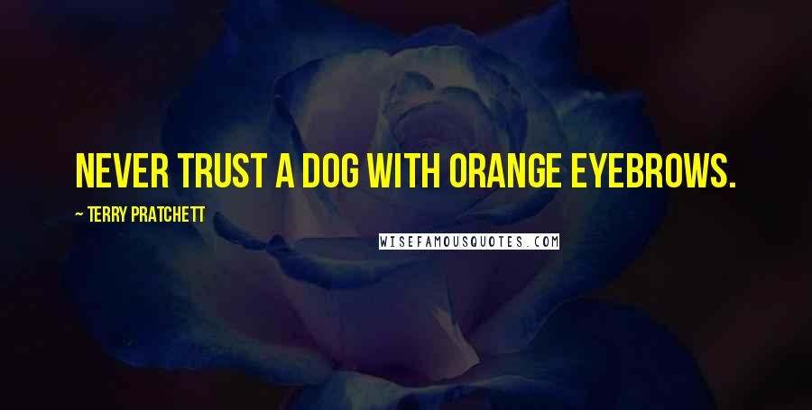 Terry Pratchett Quotes: Never trust a dog with orange eyebrows.