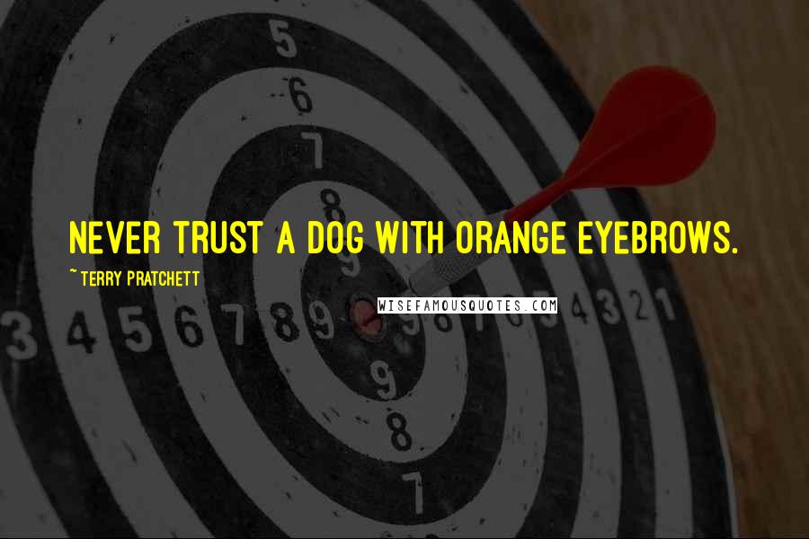 Terry Pratchett Quotes: Never trust a dog with orange eyebrows.