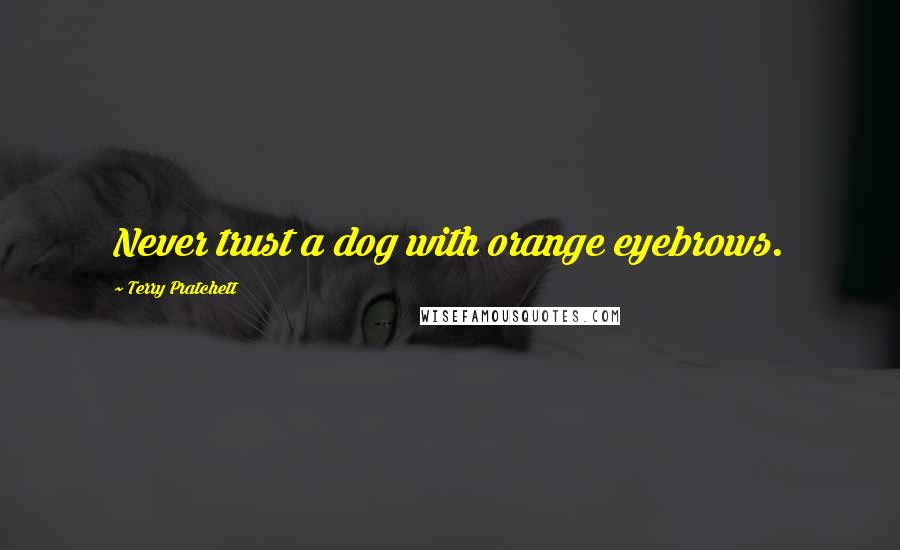 Terry Pratchett Quotes: Never trust a dog with orange eyebrows.