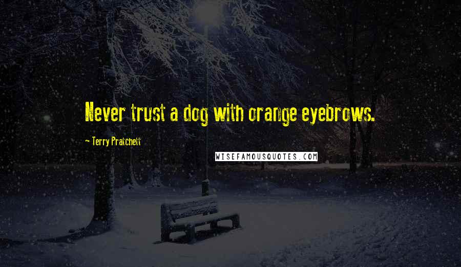 Terry Pratchett Quotes: Never trust a dog with orange eyebrows.
