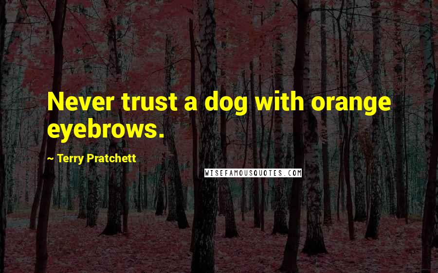 Terry Pratchett Quotes: Never trust a dog with orange eyebrows.