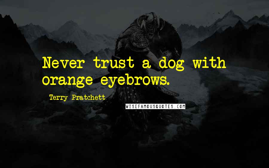 Terry Pratchett Quotes: Never trust a dog with orange eyebrows.