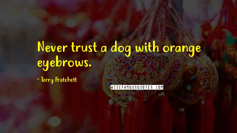 Terry Pratchett Quotes: Never trust a dog with orange eyebrows.