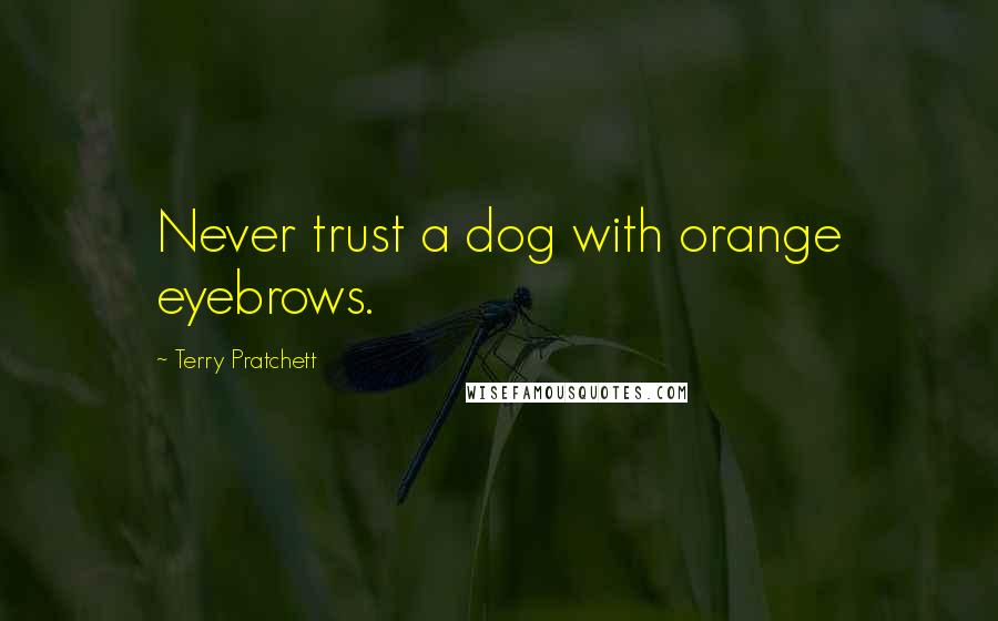 Terry Pratchett Quotes: Never trust a dog with orange eyebrows.