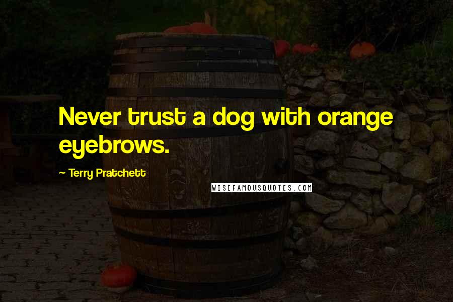 Terry Pratchett Quotes: Never trust a dog with orange eyebrows.