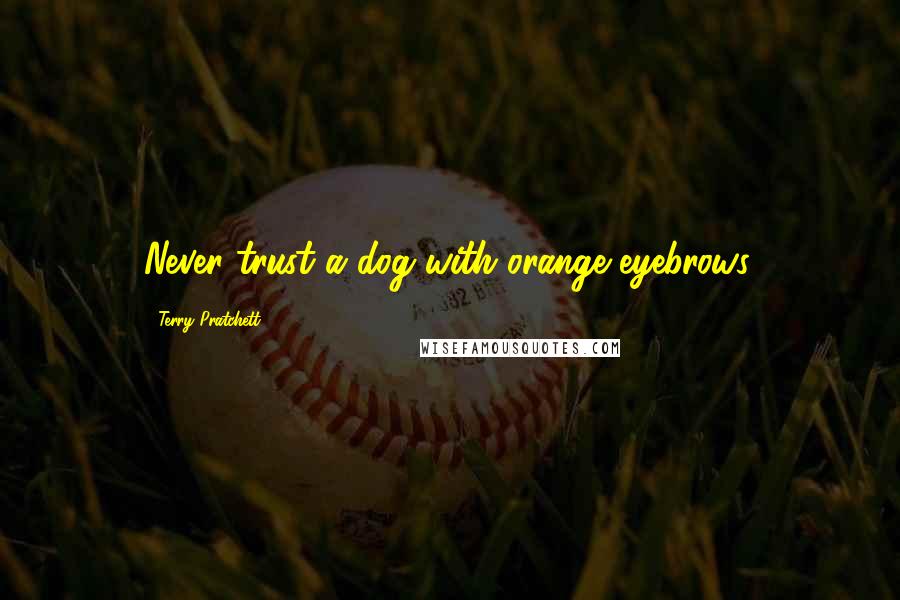 Terry Pratchett Quotes: Never trust a dog with orange eyebrows.