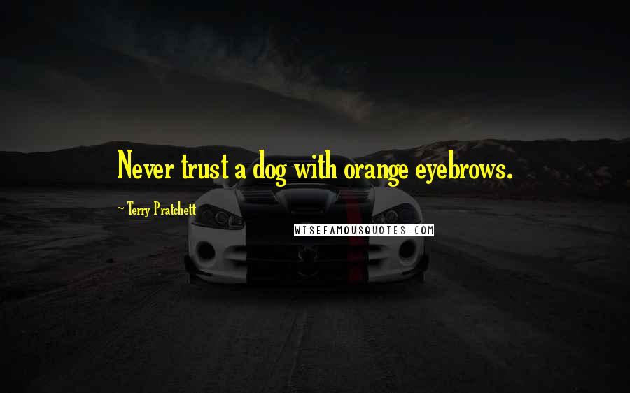 Terry Pratchett Quotes: Never trust a dog with orange eyebrows.