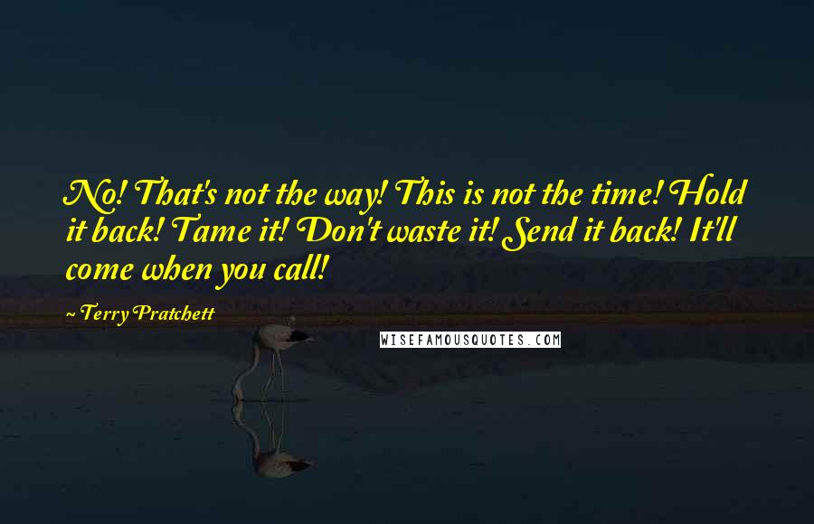 Terry Pratchett Quotes: No! That's not the way! This is not the time! Hold it back! Tame it! Don't waste it! Send it back! It'll come when you call!