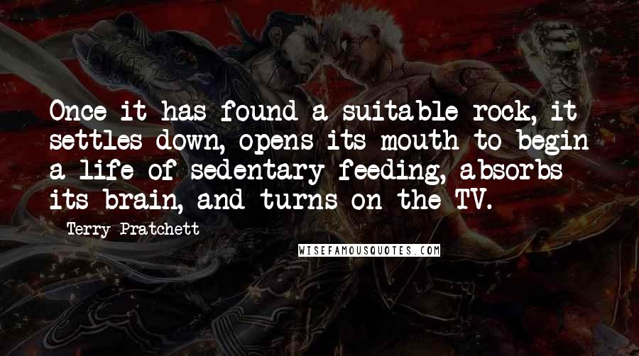 Terry Pratchett Quotes: Once it has found a suitable rock, it settles down, opens its mouth to begin a life of sedentary feeding, absorbs its brain, and turns on the TV.