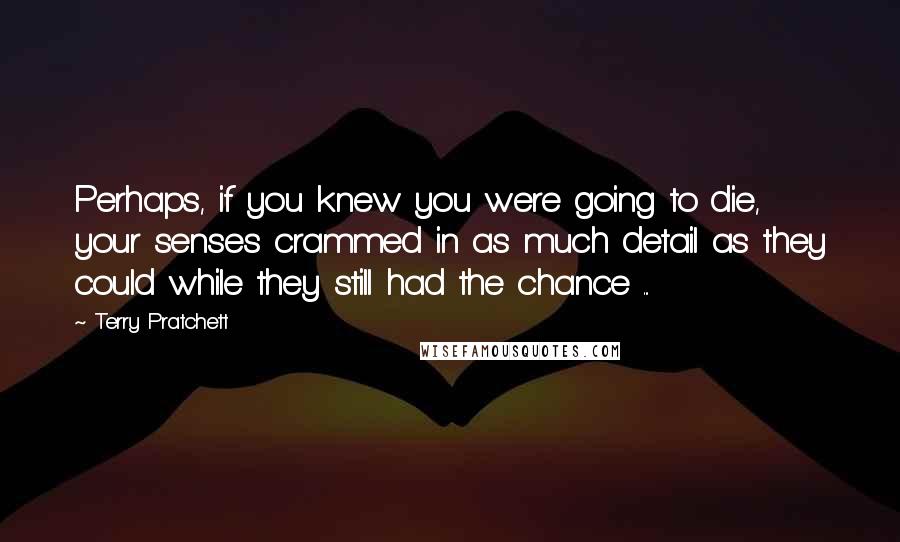 Terry Pratchett Quotes: Perhaps, if you knew you were going to die, your senses crammed in as much detail as they could while they still had the chance ...