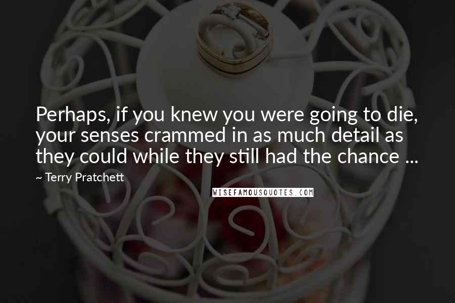 Terry Pratchett Quotes: Perhaps, if you knew you were going to die, your senses crammed in as much detail as they could while they still had the chance ...