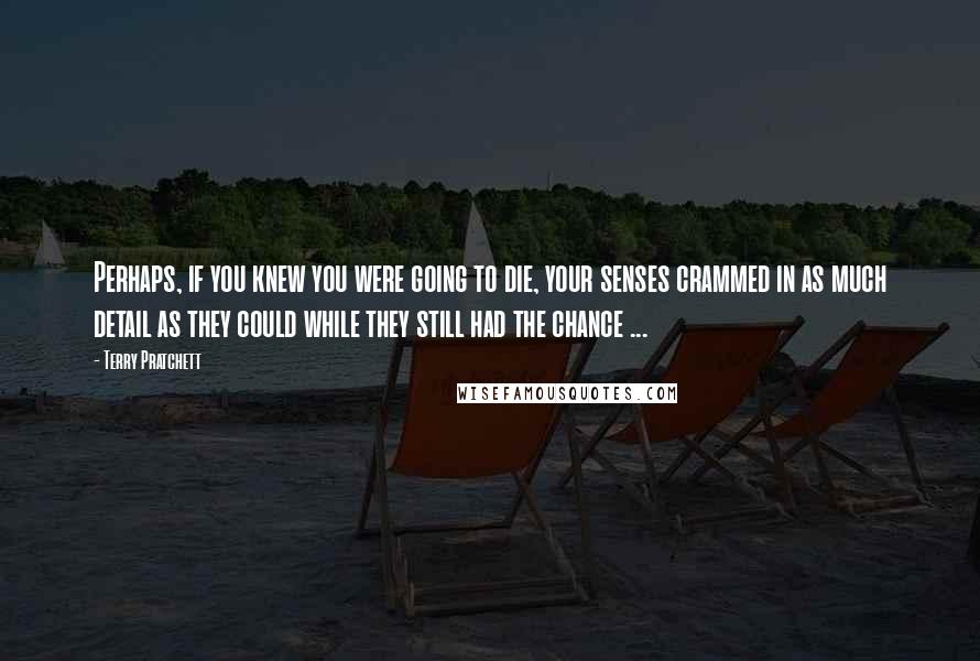 Terry Pratchett Quotes: Perhaps, if you knew you were going to die, your senses crammed in as much detail as they could while they still had the chance ...