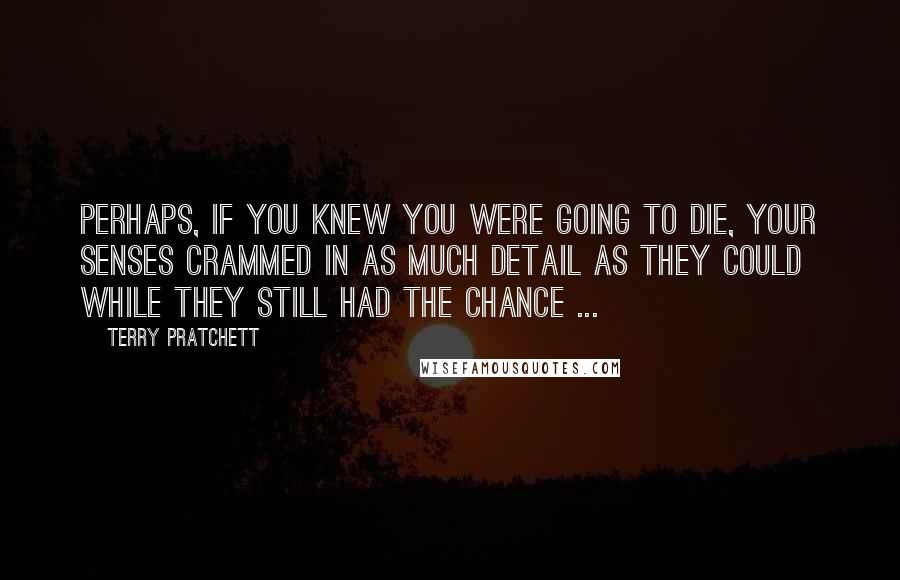 Terry Pratchett Quotes: Perhaps, if you knew you were going to die, your senses crammed in as much detail as they could while they still had the chance ...