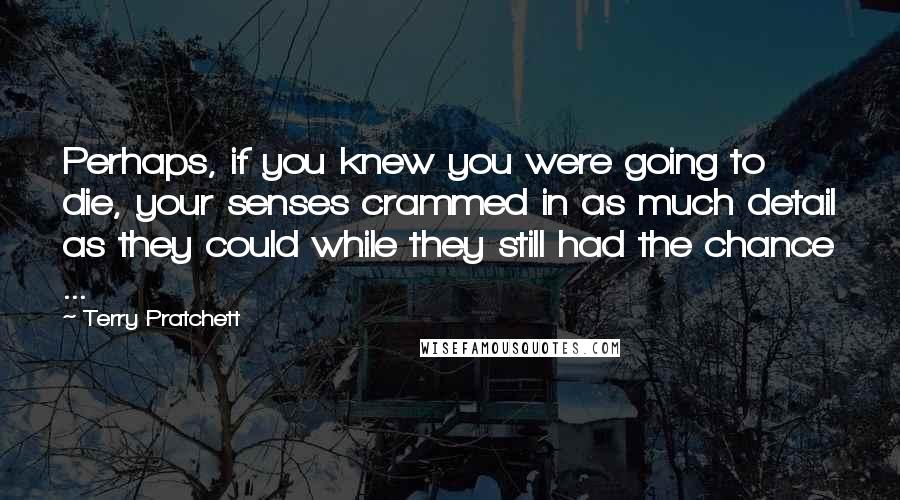 Terry Pratchett Quotes: Perhaps, if you knew you were going to die, your senses crammed in as much detail as they could while they still had the chance ...