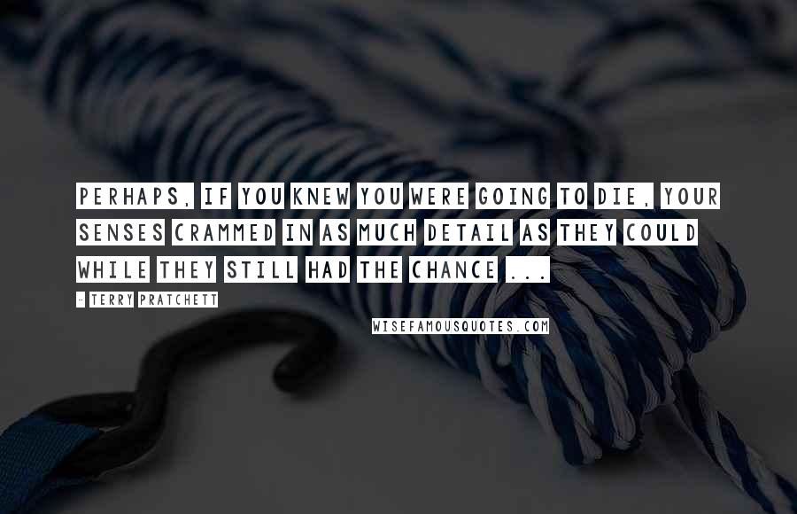 Terry Pratchett Quotes: Perhaps, if you knew you were going to die, your senses crammed in as much detail as they could while they still had the chance ...