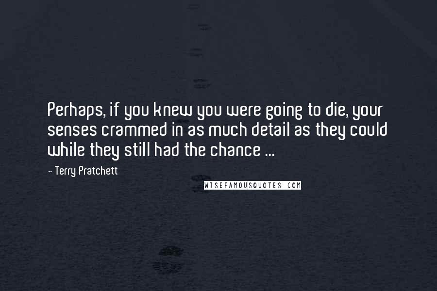 Terry Pratchett Quotes: Perhaps, if you knew you were going to die, your senses crammed in as much detail as they could while they still had the chance ...