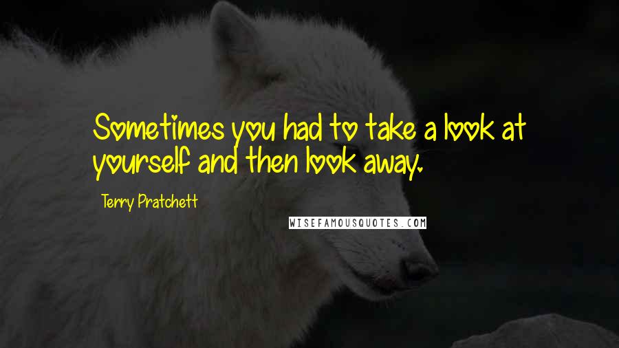 Terry Pratchett Quotes: Sometimes you had to take a look at yourself and then look away.