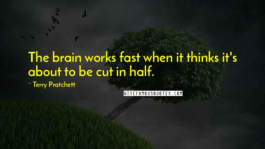 Terry Pratchett Quotes: The brain works fast when it thinks it's about to be cut in half.