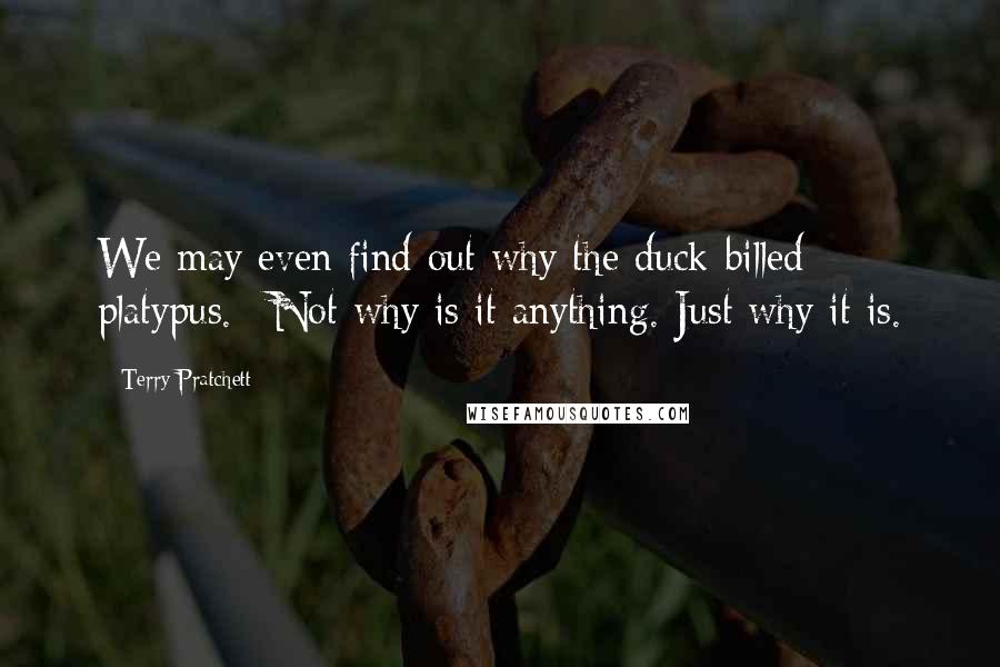 Terry Pratchett Quotes: We may even find out why the duck-billed platypus.**Not why is it anything. Just why it is.