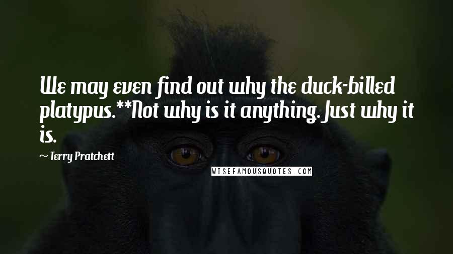 Terry Pratchett Quotes: We may even find out why the duck-billed platypus.**Not why is it anything. Just why it is.