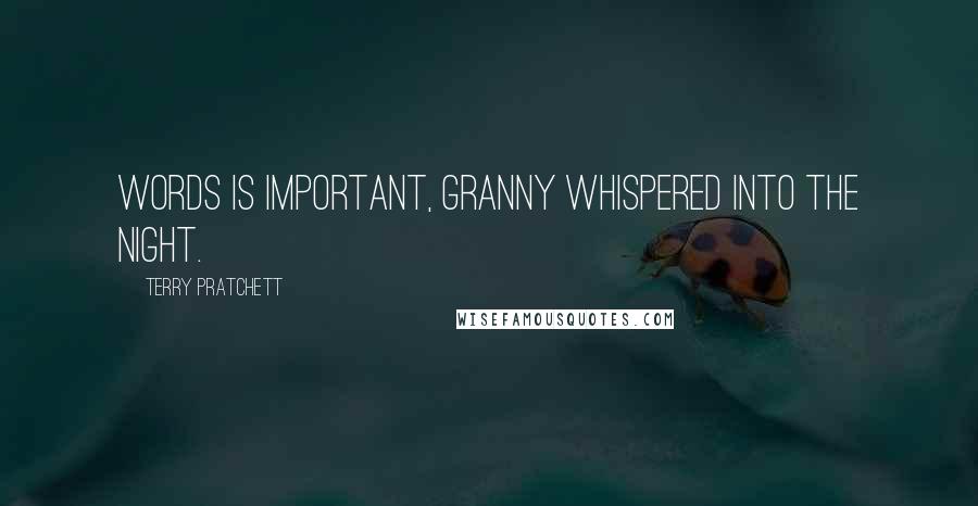 Terry Pratchett Quotes: Words is important, Granny whispered into the night.