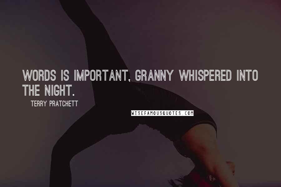 Terry Pratchett Quotes: Words is important, Granny whispered into the night.