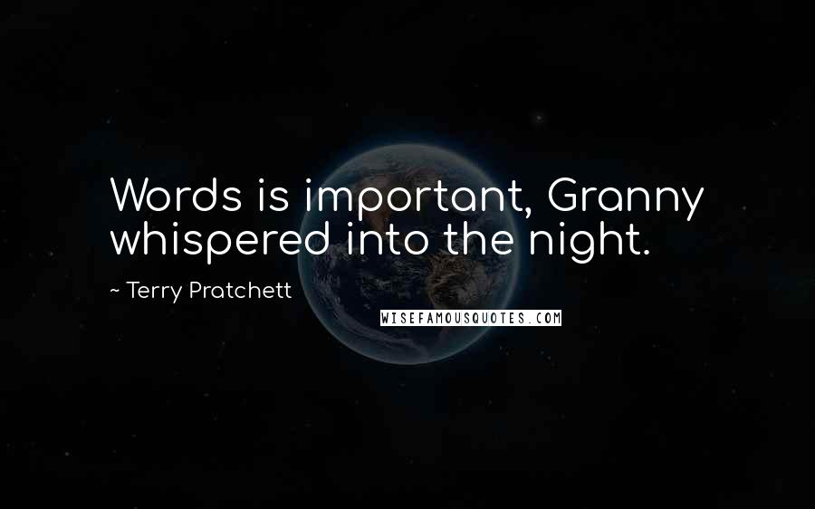 Terry Pratchett Quotes: Words is important, Granny whispered into the night.