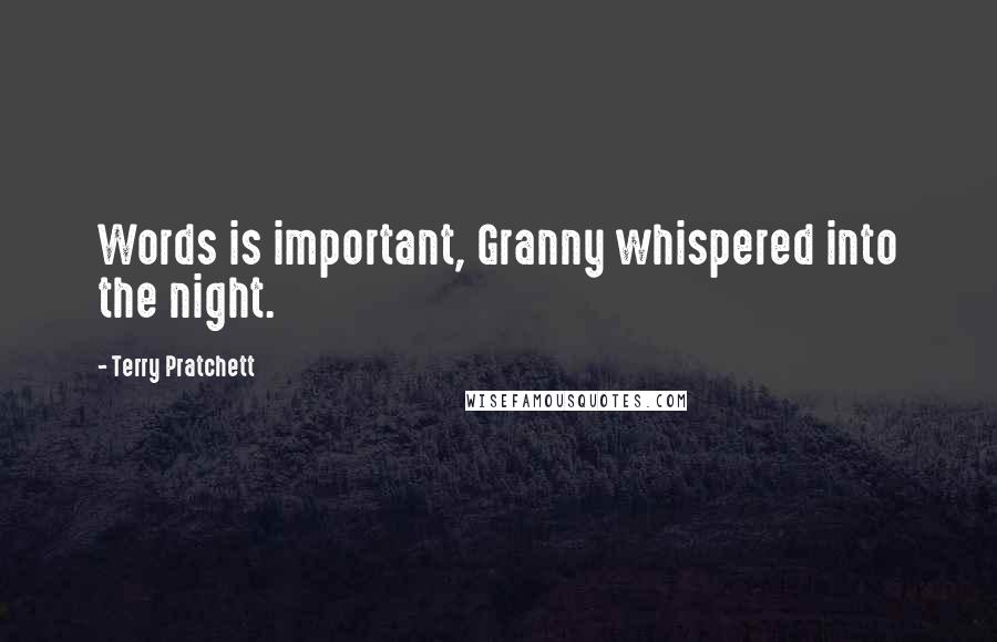 Terry Pratchett Quotes: Words is important, Granny whispered into the night.