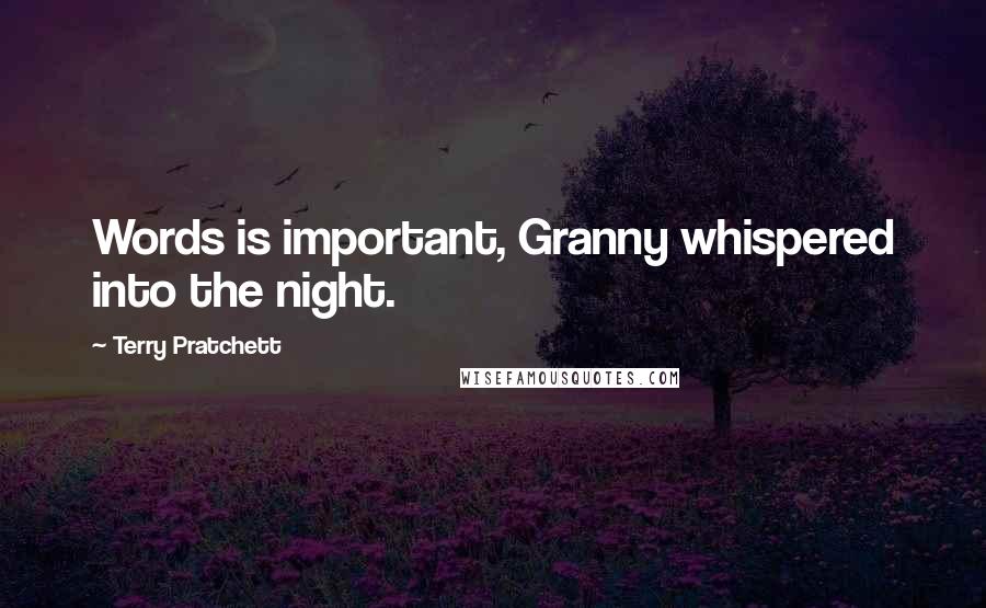 Terry Pratchett Quotes: Words is important, Granny whispered into the night.