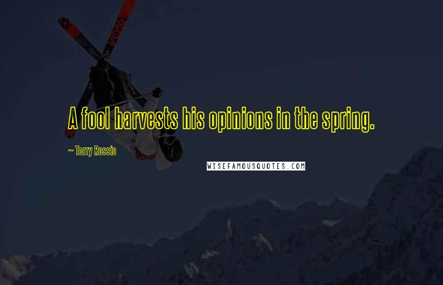 Terry Rossio Quotes: A fool harvests his opinions in the spring.