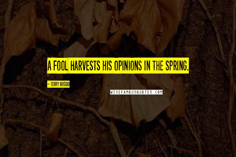 Terry Rossio Quotes: A fool harvests his opinions in the spring.