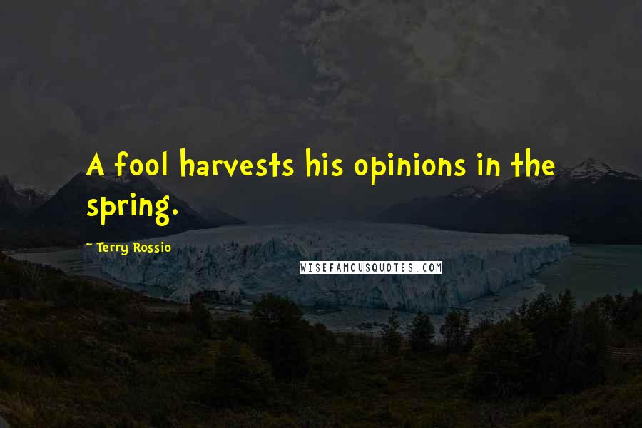 Terry Rossio Quotes: A fool harvests his opinions in the spring.