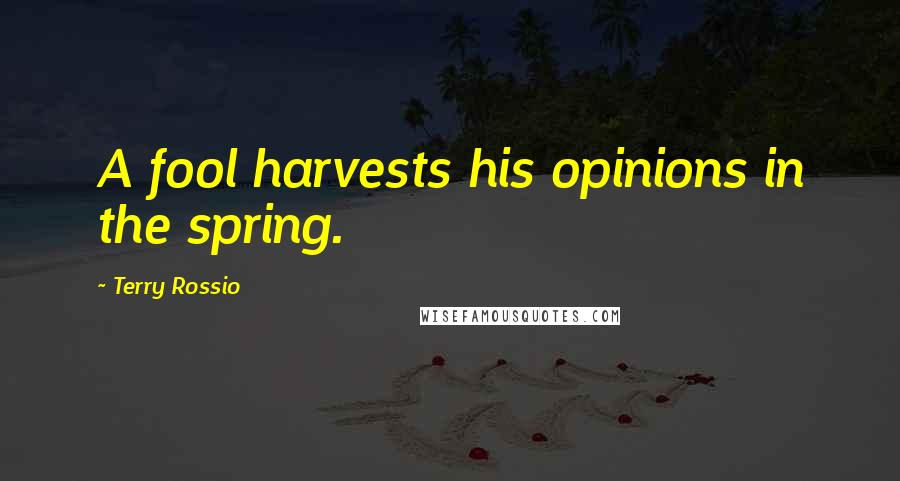 Terry Rossio Quotes: A fool harvests his opinions in the spring.