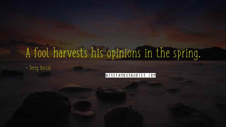 Terry Rossio Quotes: A fool harvests his opinions in the spring.