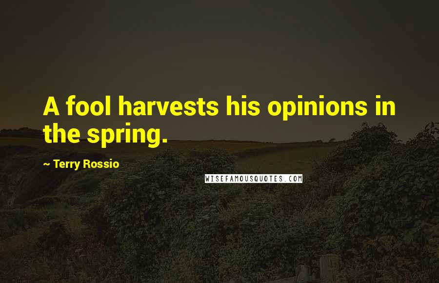 Terry Rossio Quotes: A fool harvests his opinions in the spring.