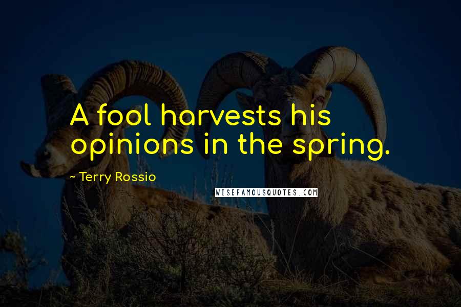 Terry Rossio Quotes: A fool harvests his opinions in the spring.