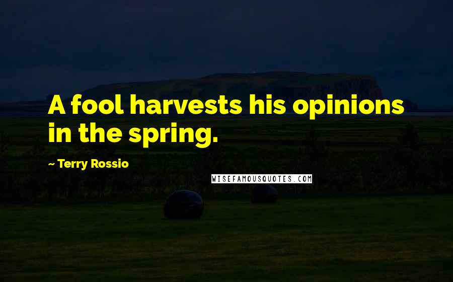 Terry Rossio Quotes: A fool harvests his opinions in the spring.
