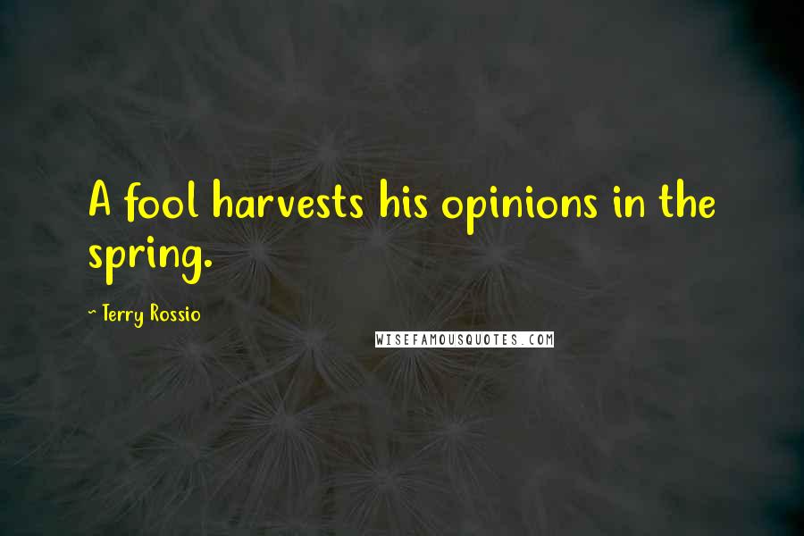 Terry Rossio Quotes: A fool harvests his opinions in the spring.