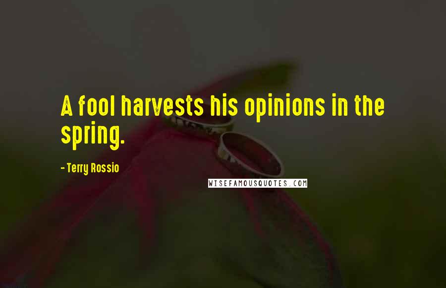 Terry Rossio Quotes: A fool harvests his opinions in the spring.