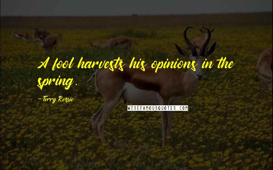 Terry Rossio Quotes: A fool harvests his opinions in the spring.