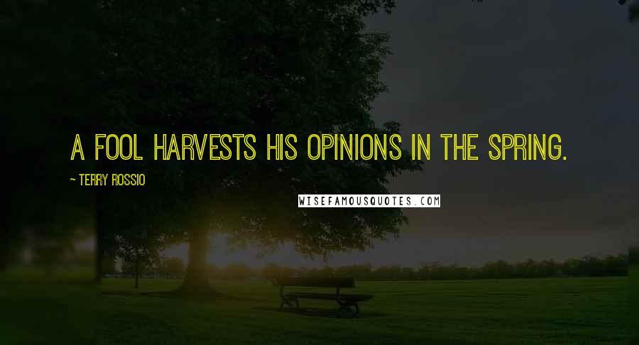 Terry Rossio Quotes: A fool harvests his opinions in the spring.