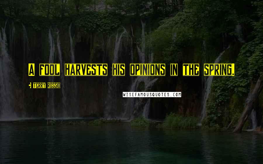 Terry Rossio Quotes: A fool harvests his opinions in the spring.